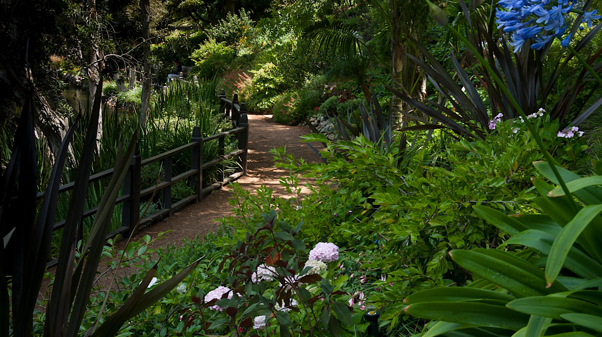Path